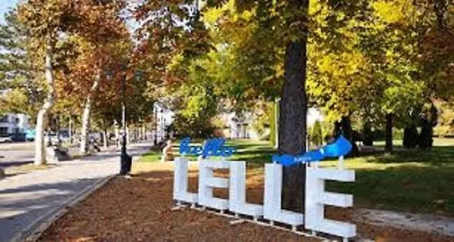 Menta Partkoezelben *