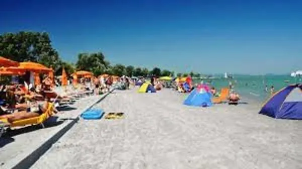 Menta Partkoezelben *